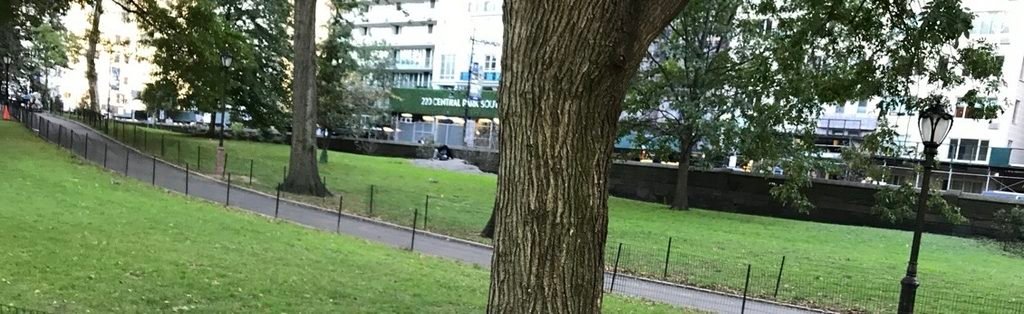 A walking path through a grassy hill in Central Park next to a large tree and a vintage lamppost.