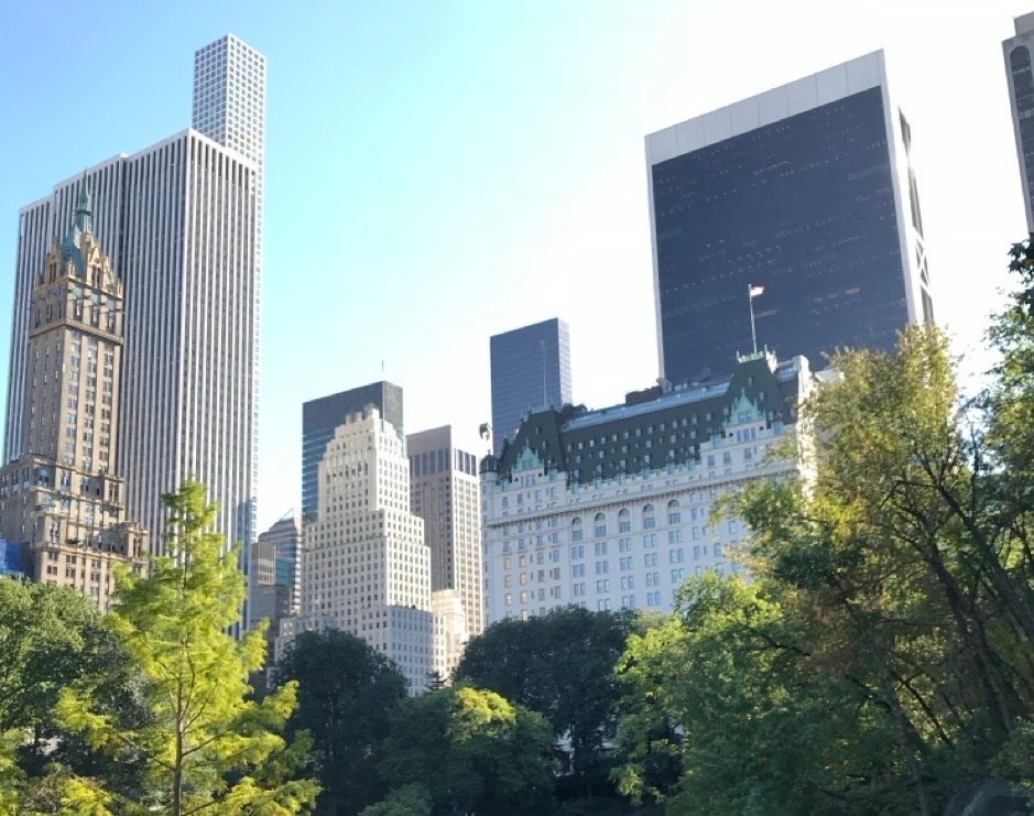 A view of the iconic Plaza Hotel and midtown Manhattan skyscrapers surrounded by green trees from Central Park.